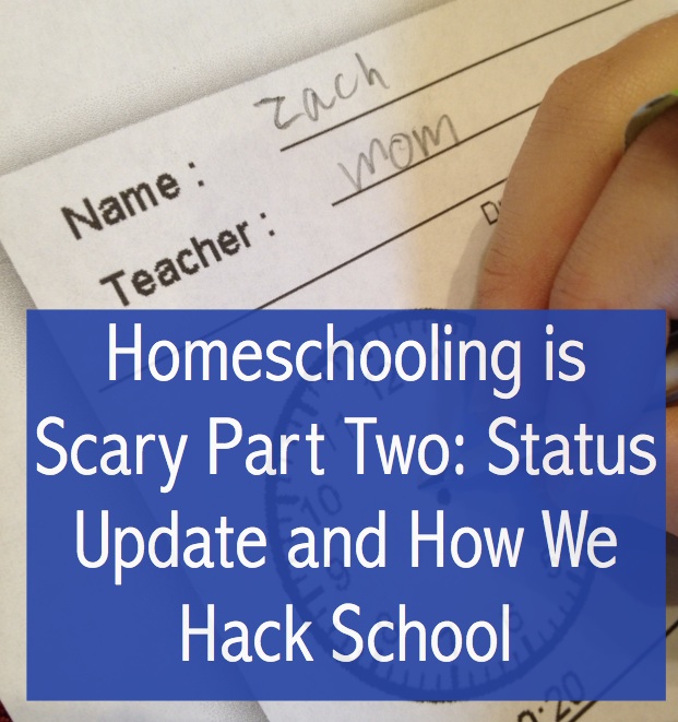 Homeschooling is Scary Part Two: Update & How We Hack School