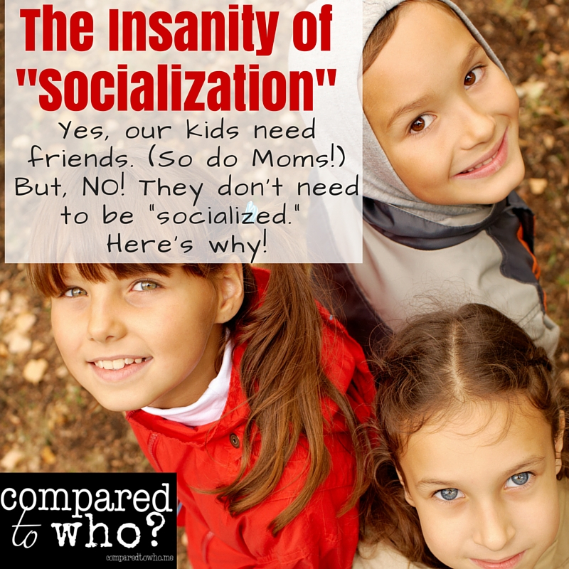 Insanity of socialization and homeschool. Why you need friends