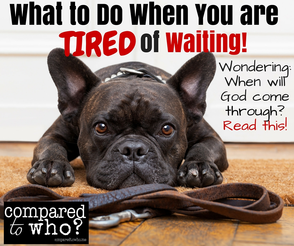 What to do when you are tired of waiting? How to wait on God.