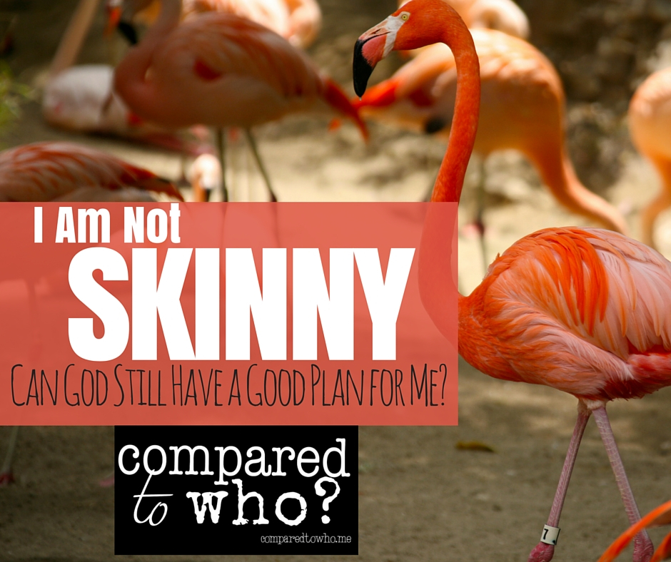 Skinny: I Am Not Skinny