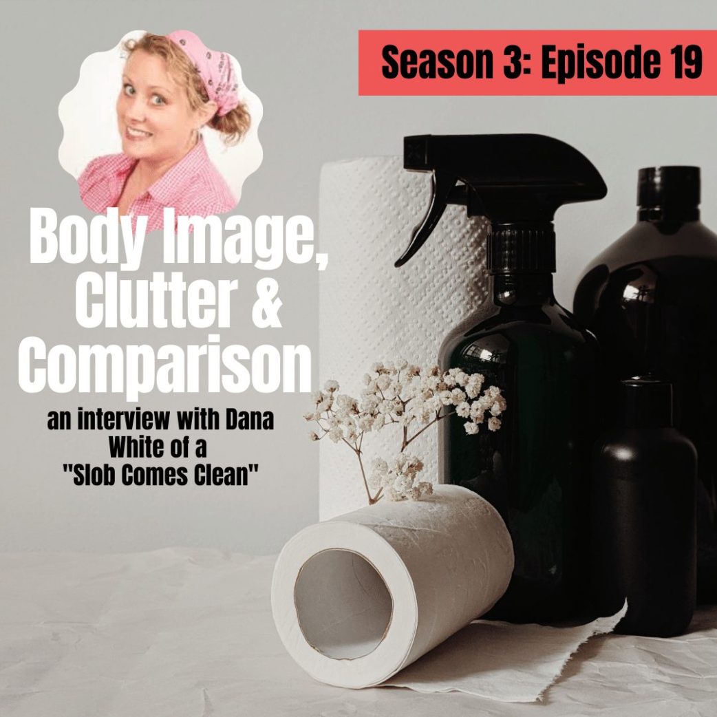 Podcast: Body Image, Comparison and Clutter at Home? An Interview with Organizer Dana White, A Slob Comes Clean