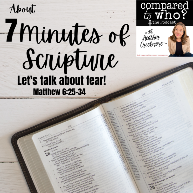 7 Minutes of Scripture: Matthew 6:25-34 and Body Image Fear